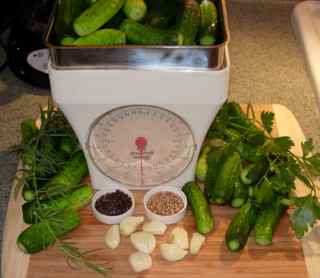 persian-cucumber-pickles-version-2.jpg